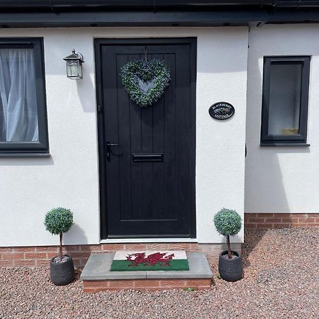 Blackberry Cottage Кардиф Екстериор снимка